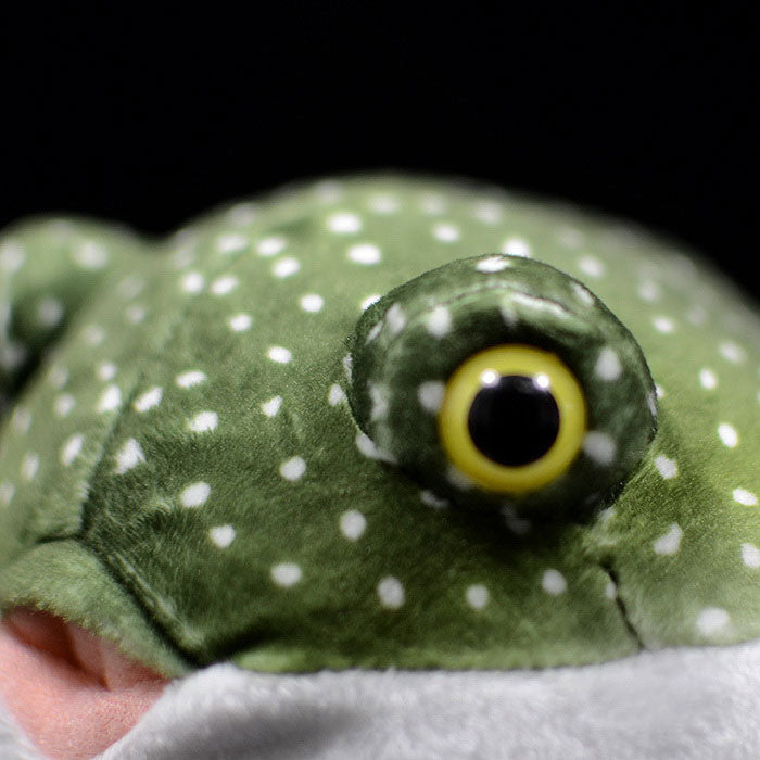 Cute tuna doll simulation green tuna doll super cute puffer fish marine animal plush toy gift
