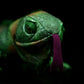 Simulation green iguana lizard doll cute lizard plush toy simulation animal plush toy 66CM