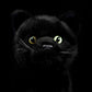Imitation kitten plush toy doll lovely black cat doll pure black cat model gift