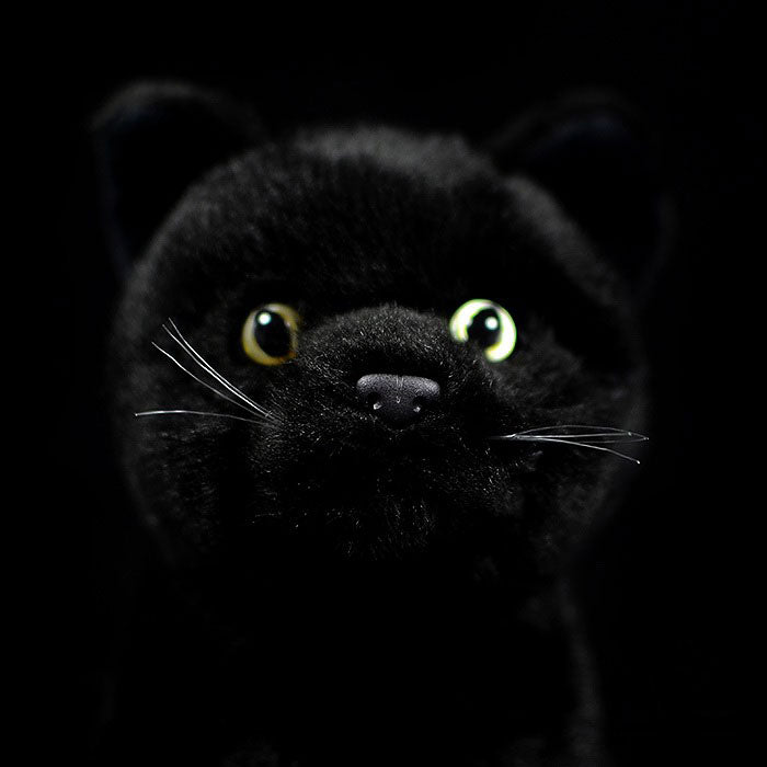 Imitation kitten plush toy doll lovely black cat doll pure black cat model gift
