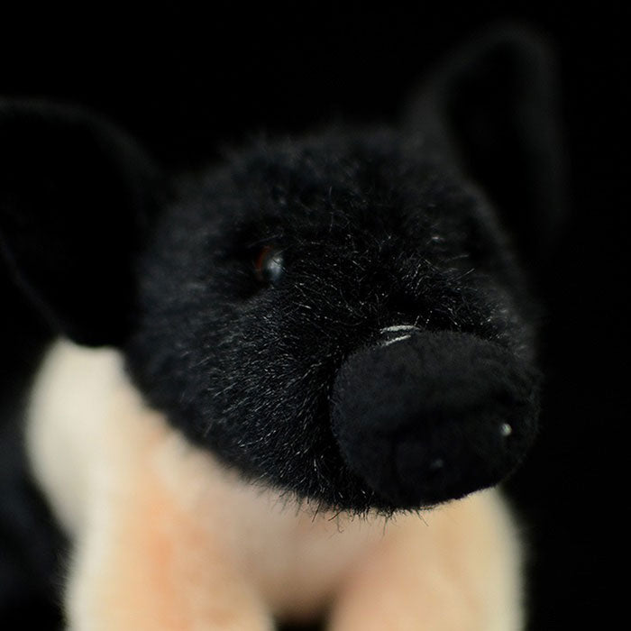 Super cute black pig cute little pig doll simulation pig simulation animal plush toy 20CM