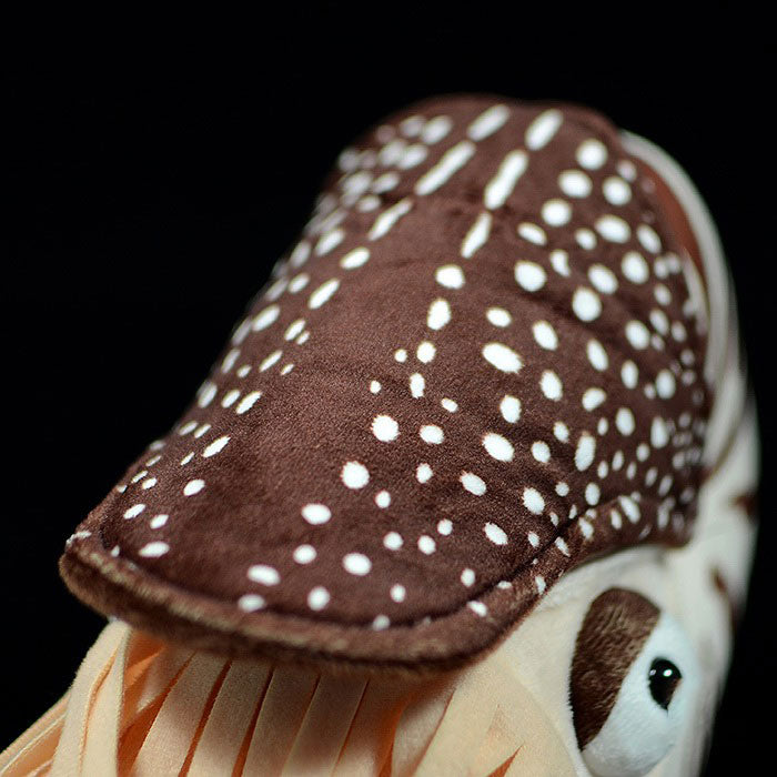 Lovely Nautilus doll simulated pearl Nautilus doll simulated animal plush toy model gift
