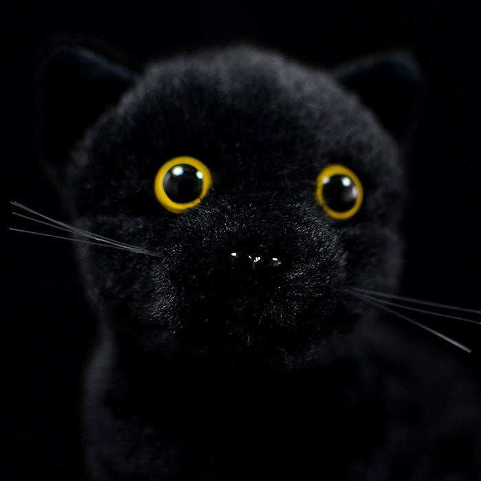 Simulation black cat doll cute short-haired cat doll Chinese garden cat plush toy simulation animal