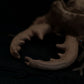 Simulation spade armor plush toy doll original insect series doll