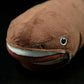 Megachasma pelagios doll simulation megachasma pelagios fish doll simulation animal plush toy model gifts