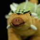 Super cute Jialong plush toy doll lovely simulation dinosaur doll plush toy model gift
