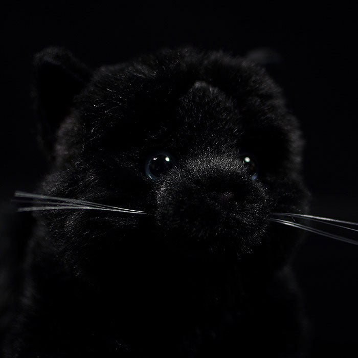 Super pure black cat plush toy doll cute little cat doll simulation cat plush toy