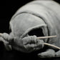 Simulation King's Foot Bug Plush Toy Doll Giant Deep Sea Big Tick Doll Simulation Plush Toy Model