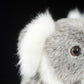 Special foreign trade tail orders are exported to Germany to simulate koala plush toys with koala dolls in Australia.