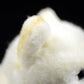Cute dog doll simulation white Shiba dog doll standing posture dog plush toy simulation animal 28CM