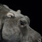 Simulated standing Hippo bears plush toy doll lovely doll animal model gift