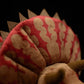Super cute Triceratops plush toy doll cute simulation dinosaur doll plush toy model gift