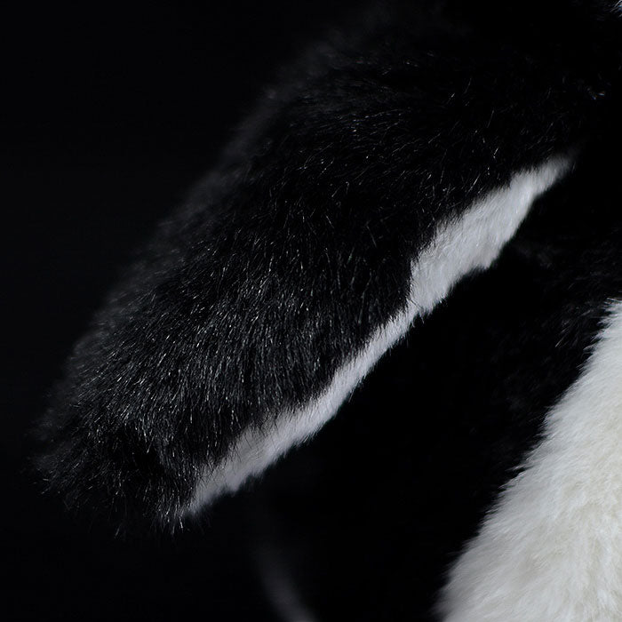 The tail order of foreign trade is exported to the United States, big eyed emperor penguin, Penguin doll, simulated animal plush toys