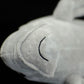 Super cute dugong plush toy doll cute simulation Nanhai cattle doll plush toy model gift