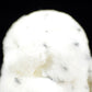 Simulated snow owl doll lovely White Owl doll simulated animal model plush toy gift