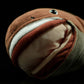 Megachasma pelagios doll simulation megachasma pelagios fish doll simulation animal plush toy model gifts