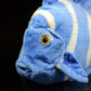 Cute tropical fish Atlantic blue hanging doll simulated blue thorn tail fish simulated animal plush toy