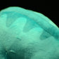 Super cute paractylosaurus plush toy doll lovely simulation dinosaur doll plush toy model gift