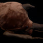 Imitation unicorn plush toy doll original insect series doll