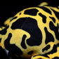 Cute yellow belt poison arrow frog doll simulation poison arrow Frog Plush Toy simulation animal model