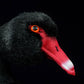 Cute black swan doll simulation black swan simulation animal plush toys gifts