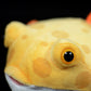 Cute boxfish simulation hexagonal boxfish doll super cute marine life doll plush toy gift
