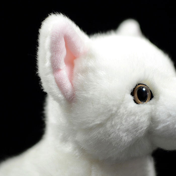 Imitation kitten plush toy doll lovely mandarin duck eye white kitten doll model gift