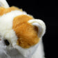 Simulation of exotic short-haired cat plush toy short-haired Persian cat doll Garfield doll simulation animal model