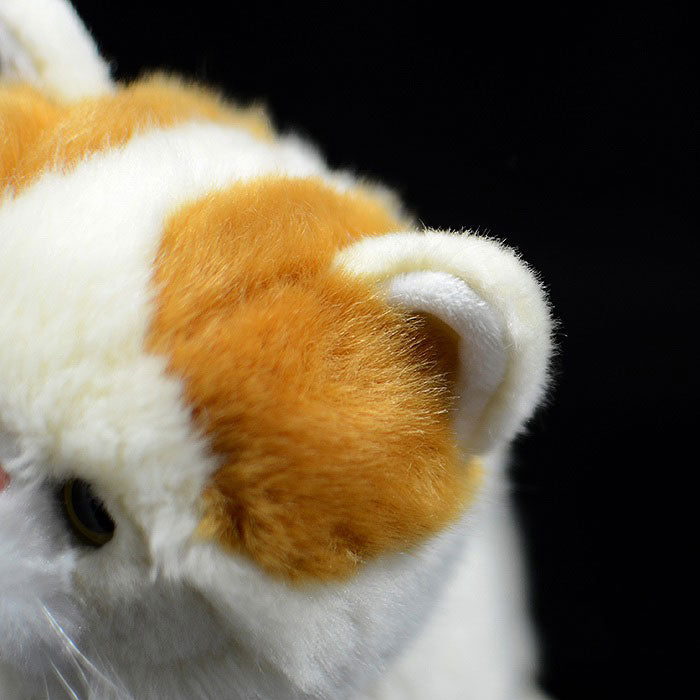 Simulation of exotic short-haired cat plush toy short-haired Persian cat doll Garfield doll simulation animal model