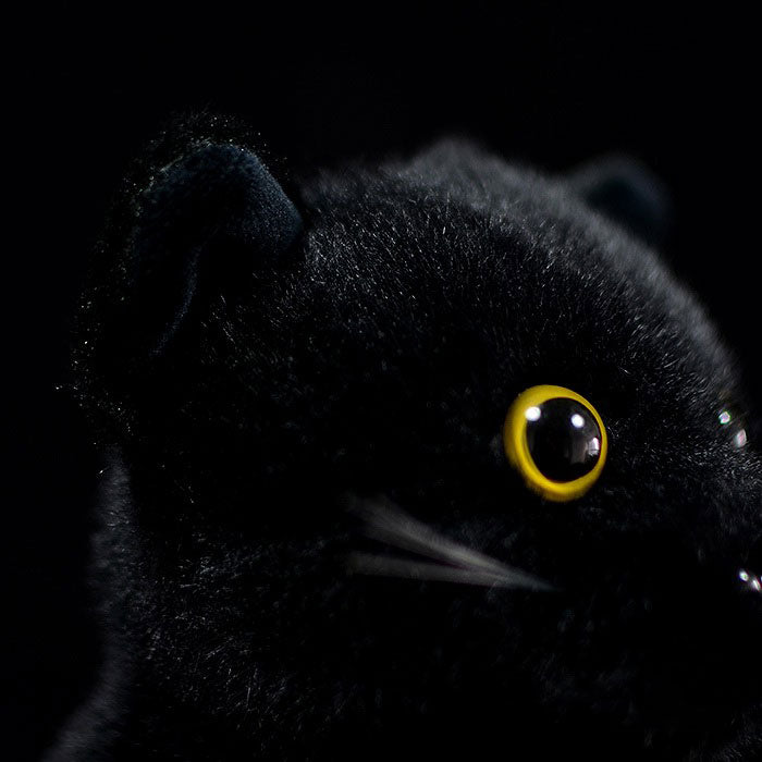 Simulation black cat doll cute short-haired cat doll Chinese garden cat plush toy simulation animal