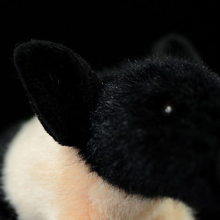 Super cute black pig cute little pig doll simulation pig simulation animal plush toy 20CM