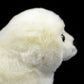 Cute Greenland white seal doll simulation white seal plush model simulation marine animal plush toy
