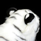Simulation posture tiger plush toy white tiger doll cute white tiger doll simulation animal model gift