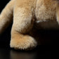 Simulated standing Lion Plush Toy Brown lion doll African male lion doll simulated animal model gift