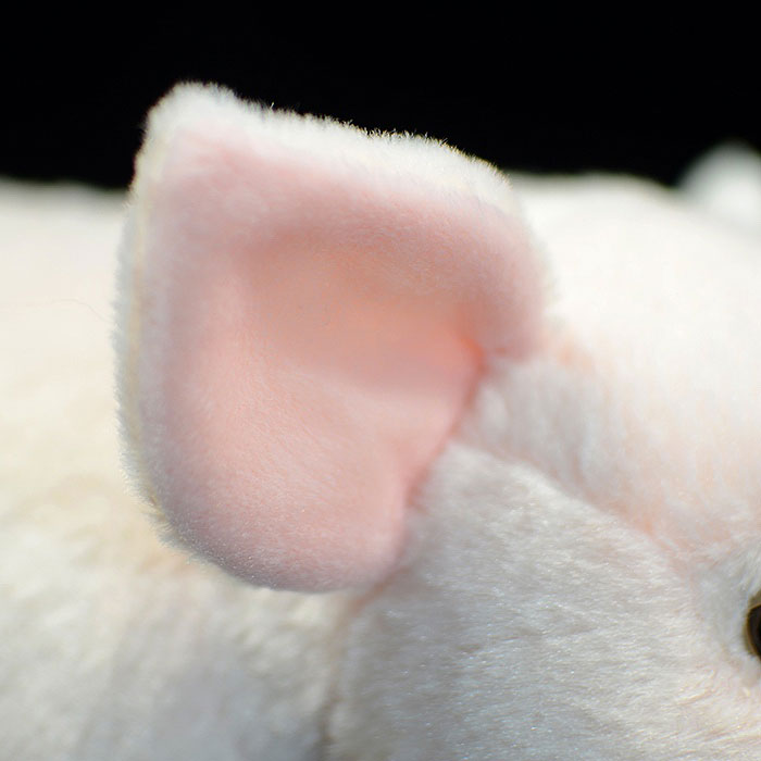 Simulated standing pink domestic pigs bears plush toy doll lovely doll animal model gift