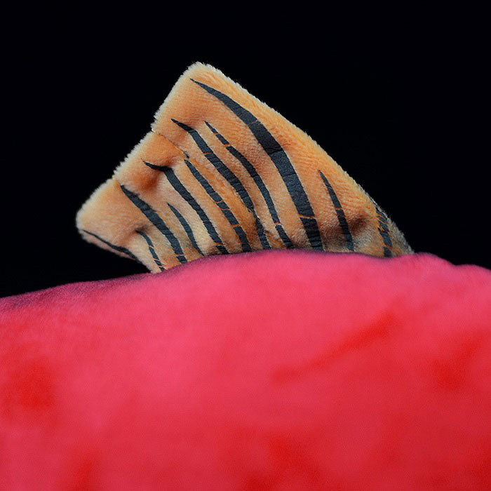 Cute red salmon doll red salmon plush toy simulated animal plush toy 39cm