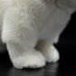 Simulation of exotic short-haired cat plush toy short-haired Persian cat doll Garfield doll simulation animal model