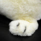 Cute Greenland white seal doll simulation white seal plush model simulation marine animal plush toy