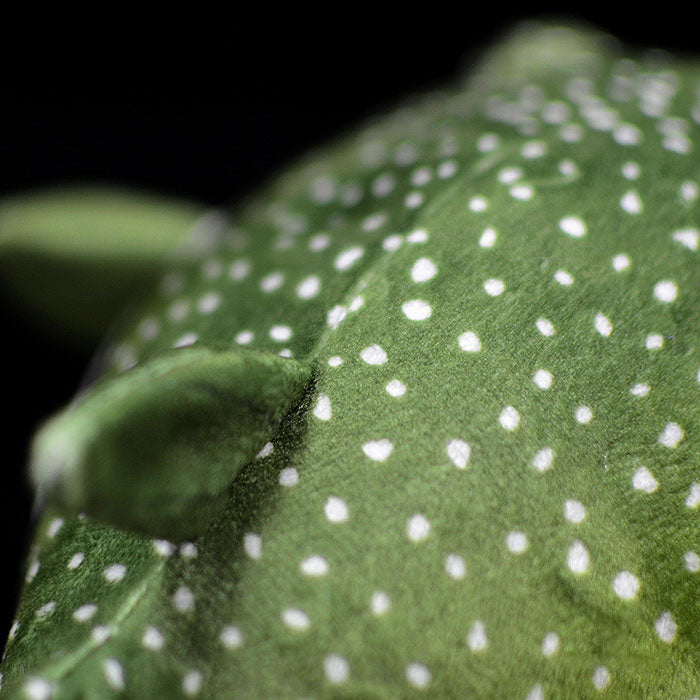 Cute tuna doll simulation green tuna doll super cute puffer fish marine animal plush toy gift