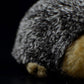 Cute little hedgehog plush toy doll playing super cute little hedgehog doll simulation animal model gift