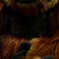 Simulated standing orangutan bears plush toy doll lovely doll animal model gift