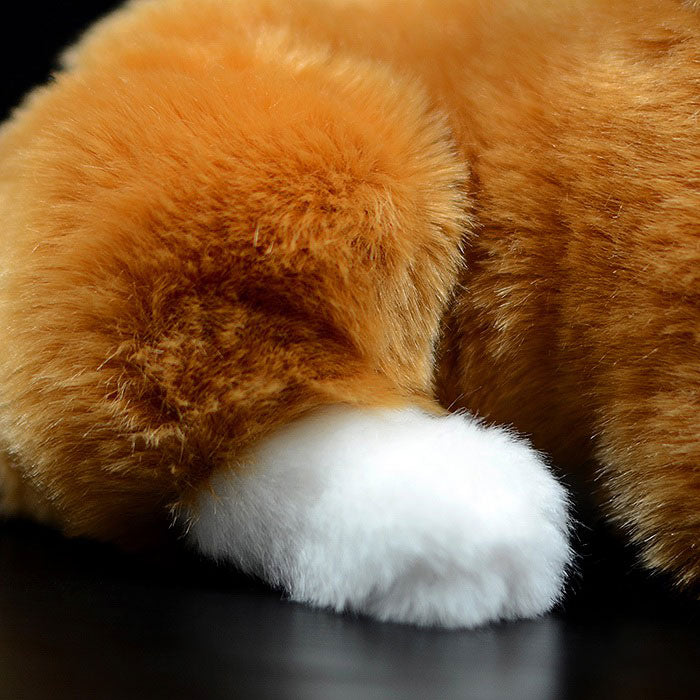 Super cute yellow and white cat plush toy doll cute kitten doll simulation cat plush toy