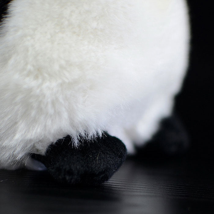 The tail order of foreign trade is exported to the United States, big eyed emperor penguin, Penguin doll, simulated animal plush toys