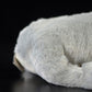 Cute koala doll simulated koala koala koala koala doll simulated animal plush toy 23cm