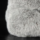 Special foreign trade tail orders are exported to Germany to simulate koala plush toys with koala dolls in Australia.