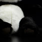 Cute giant panda plush toy simulation Asian panda doll doll birthday Christmas gift