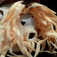 Lovely Nautilus doll simulated pearl Nautilus doll simulated animal plush toy model gift