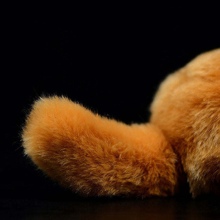 Super cute yellow and white cat plush toy doll cute kitten doll simulation cat plush toy