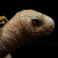 Galapagos tortoise simulation tortoise doll cute tortoise doll simulation animal plush toy