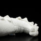 Super cute crocodile plush toy doll cute simulation albino crocodile doll plush toy model gift